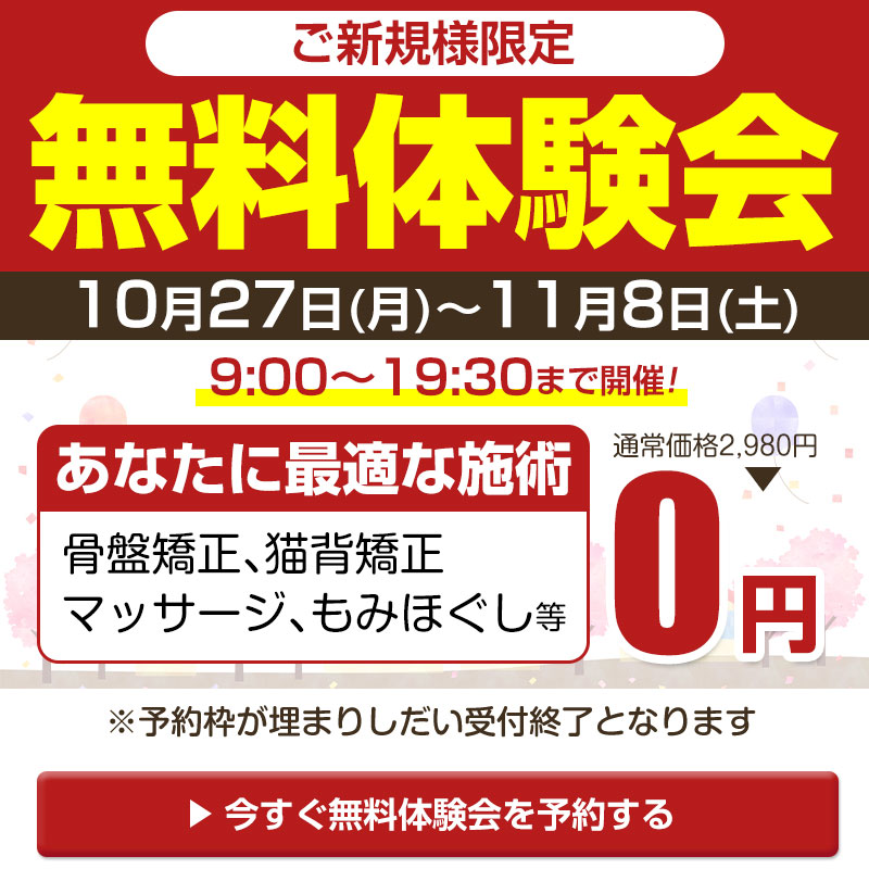 無料体験会：10/27～11/8