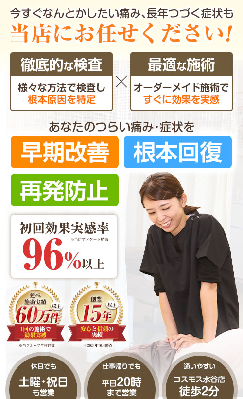 TOPheadSP用