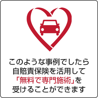 自賠責本活用